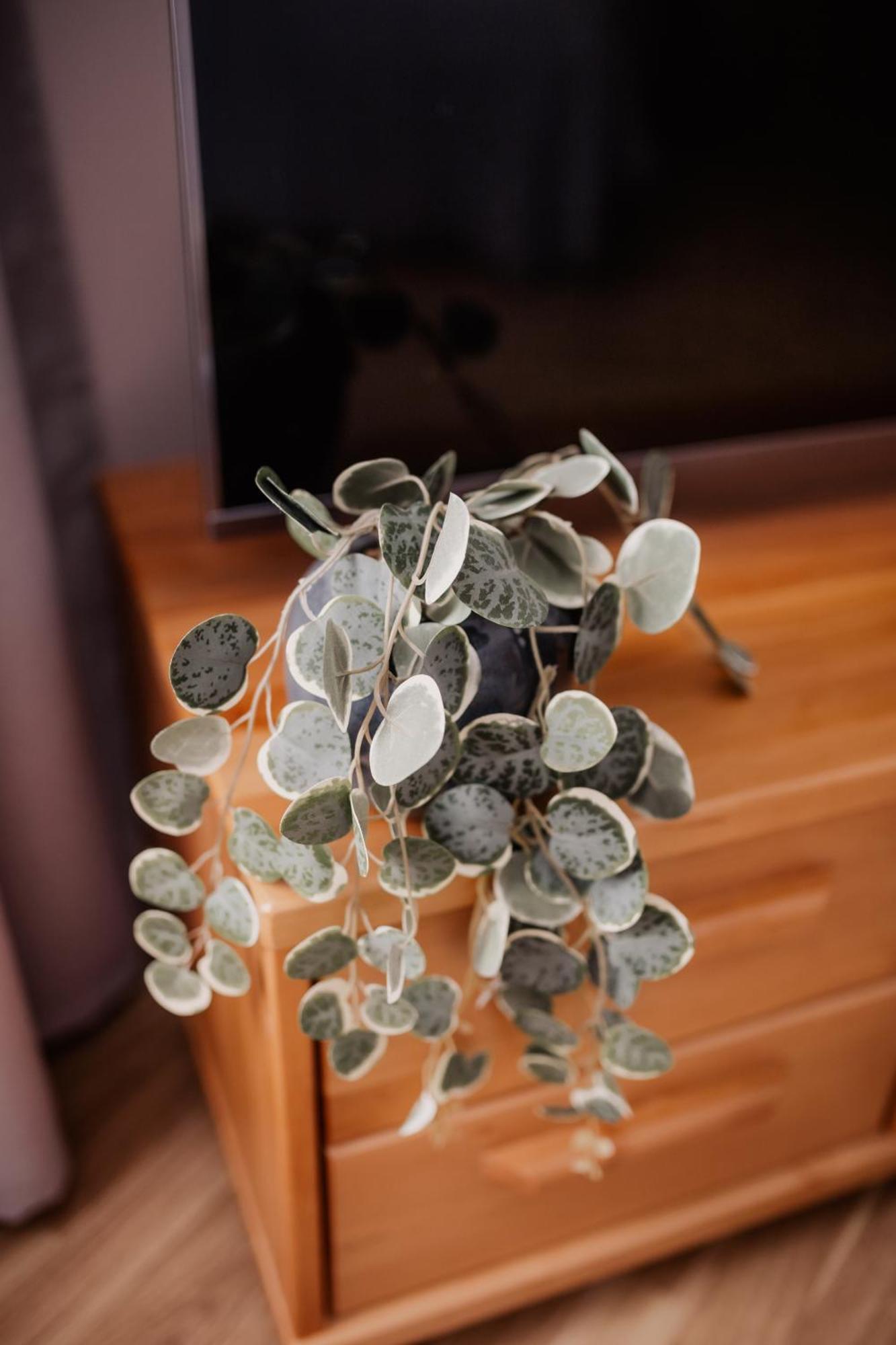 サルダス Saules Iela 2Aアパートホテル 部屋 写真