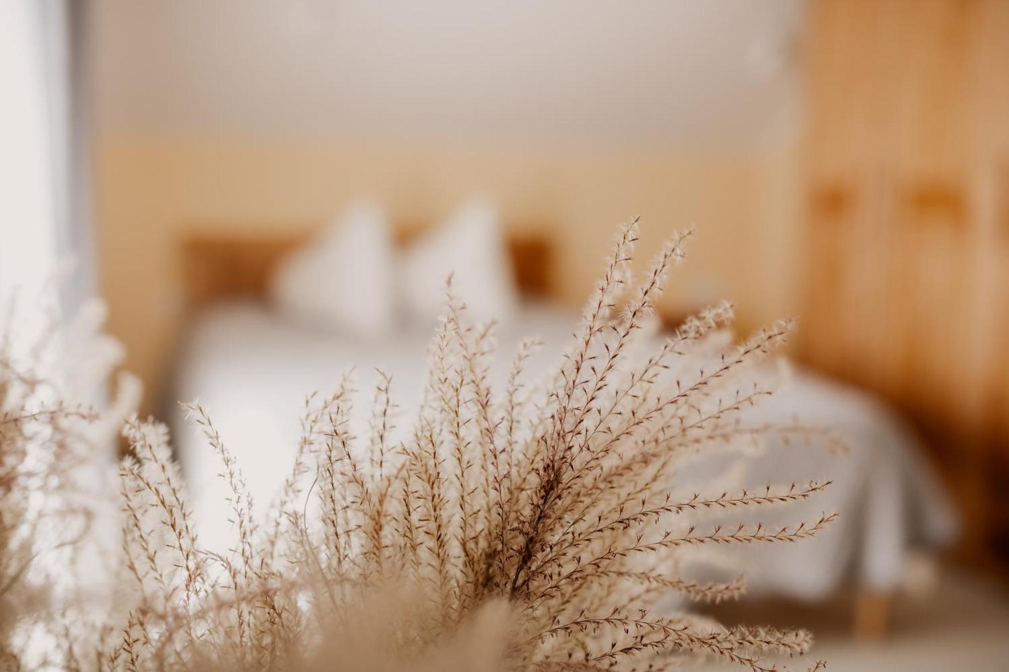 サルダス Saules Iela 2Aアパートホテル 部屋 写真